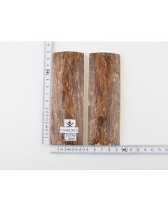 Stabilised mammoth bark scales