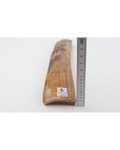 Natural woolly mammoth bark