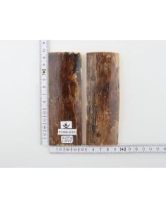 Stabilised mammoth bark scales
