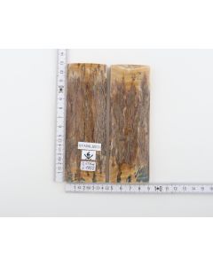 Stabilized mammoth bark scales