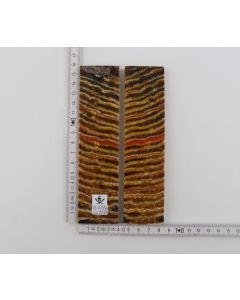 Stabilised mammoth molar scales