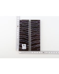 Stabilised mammoth molar scales