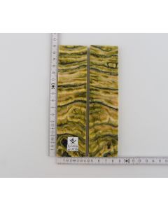 Stabilized mammoth molar scales