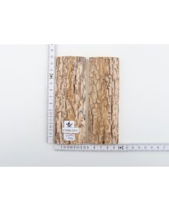 Stabilized mammoth bark scales
