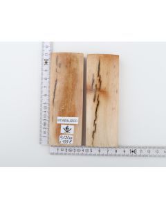 Stabilized mammoth bark scales