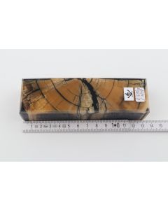 Stabilised mamoth ivory block