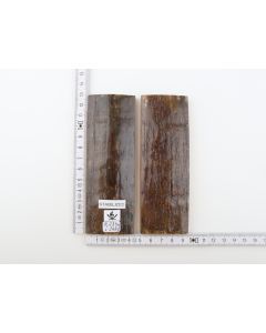 Stabilised mammoth bark scales