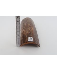 Brown mammoth bark