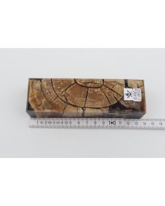 Stabilised mammoth ivory block
