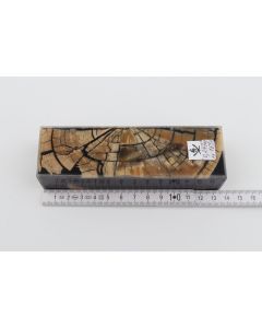 Stabilized mammoth ivory block