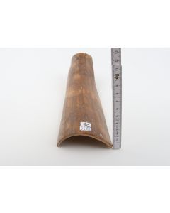 Caramel mammoth bark