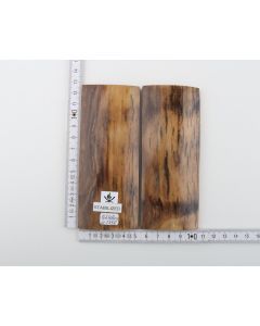 Stabilized mammoth bark scales