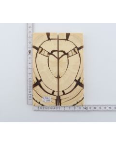 Stabilised mammoth ivory scales