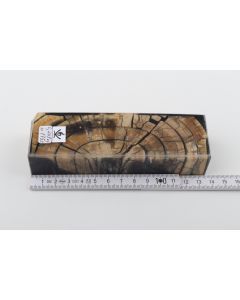 Stabilized mammoth ivory block