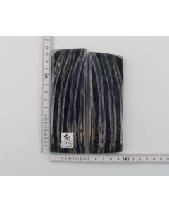 Stabilized mammoth molar scales