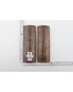 Stabilised mammoth bark scales