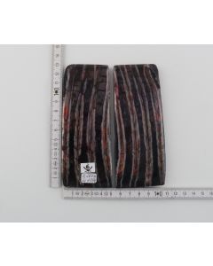 Stabilised mammoth molar scales