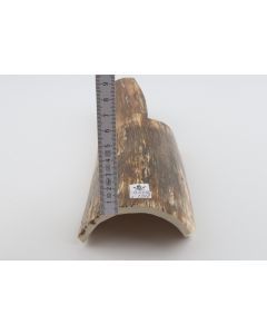 Natural mammoth bark