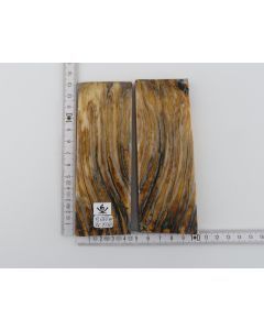 Stabilised mammoth molar scales
