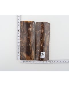 Natural mammoth bark scales