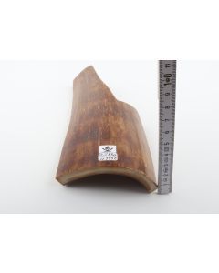 Brown-mustard mammoth bark