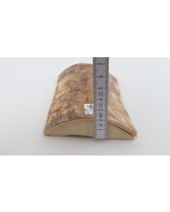 Brown-beige mammoth bark