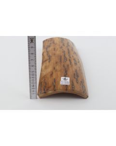 Beige mammoth bark