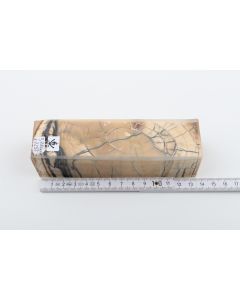 Stabilized mammoth ivory block