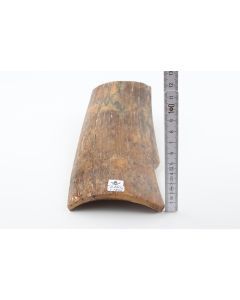 Natural mammoth bark
