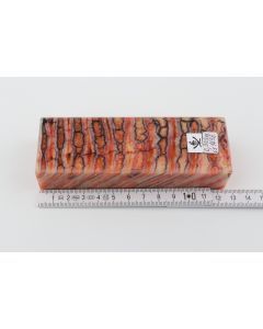 Stabilized mammoth molar block