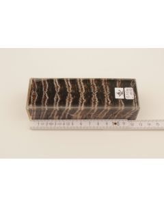 Stabilized mammoth molar block