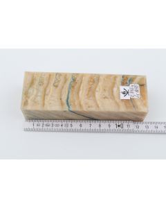 Stabilised mammoth molar block