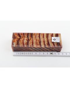Stabilized mammoth molar block