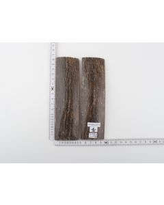 Stabilized mammoth bark scales