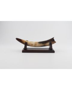 Restored woolly mammoth tusk