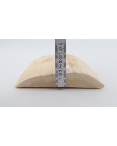 Natural mammoth ivory piece