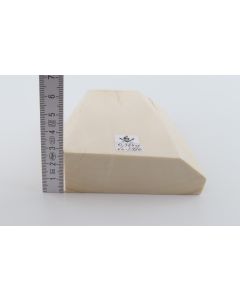 White mammoth ivory segment