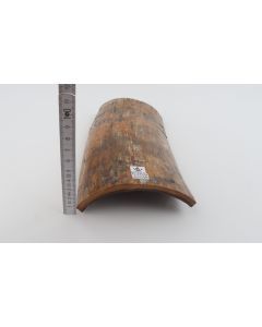 Brown-mustard mammoth bark