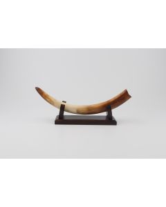 Restored mammoth tusk