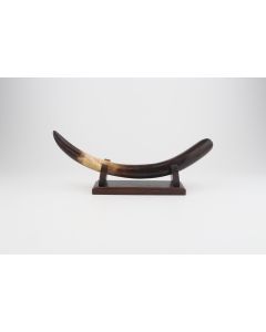 Restored woolly mammoth tusk
