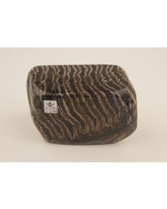 Stabilised mammoth molar 