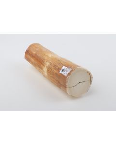 Round woolly mammoth tusk piece