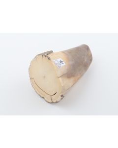 Round mammoth tusk piece