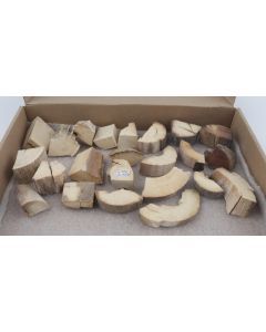 Raw mammoth ivory pieces
