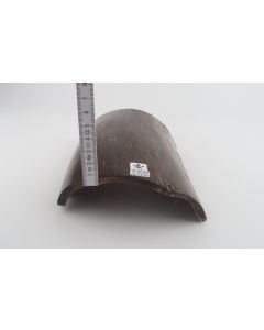 Brown mammoth bark