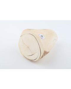 Natural mammoth ivory piece