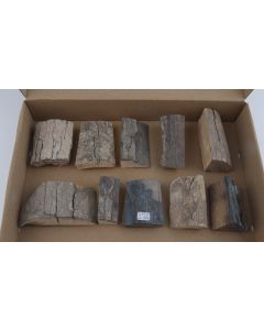 Raw mammoth ivory offcuts