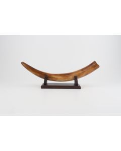 Restored woolly mammoth tusk