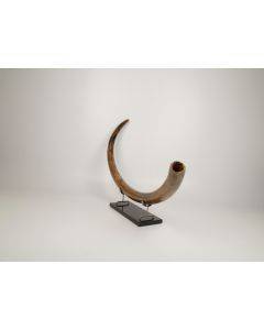 Restored woolly mammoth tusk