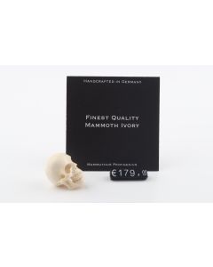 Hand carved mammoth ivory skull
